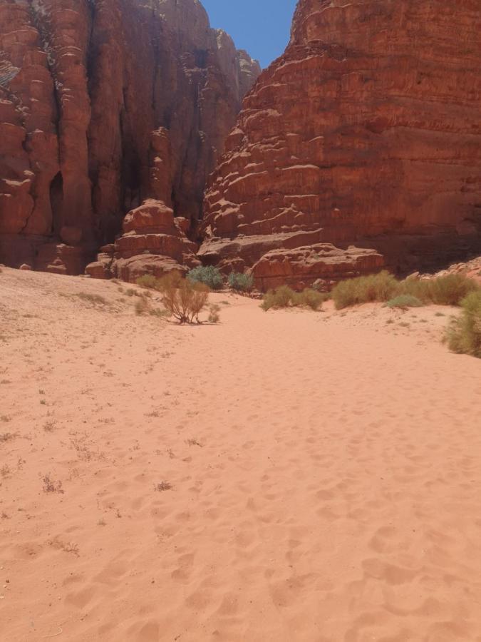 Bedouin Experiences Appartement Akaba Buitenkant foto